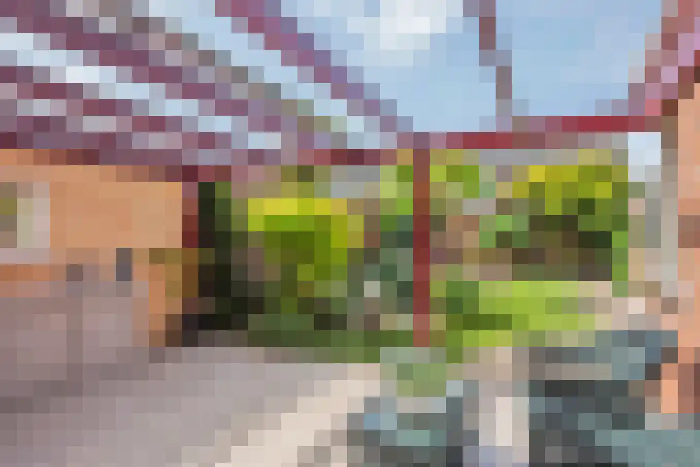 Bekkampstraat 12 Hengevelde thumbnail 4