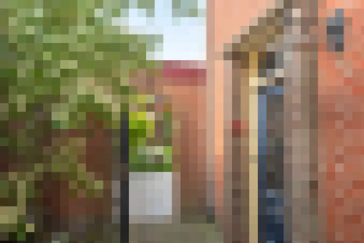 Bekkampstraat 12 Hengevelde thumbnail 8