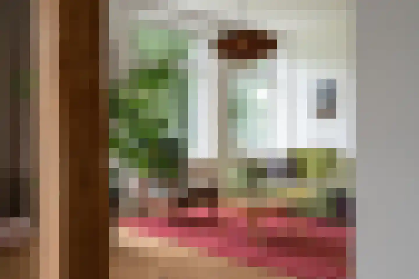 Bekkendammerweg 1 Diepenheim thumbnail 14