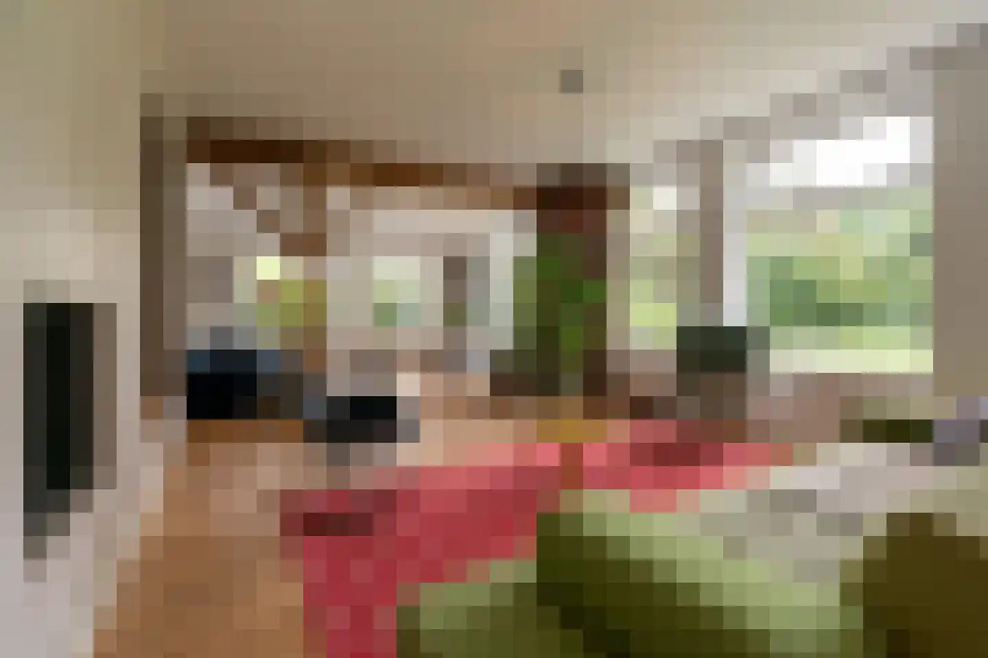 Bekkendammerweg 1 Diepenheim thumbnail 16