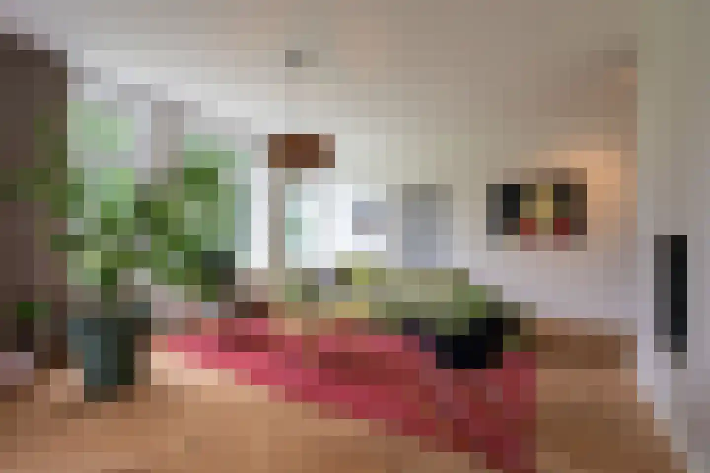 Bekkendammerweg 1 Diepenheim thumbnail 17