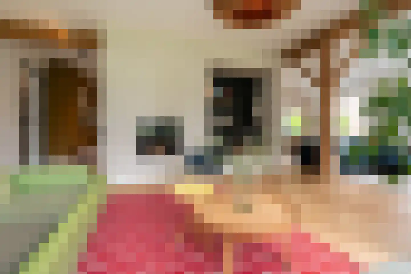 Bekkendammerweg 1 Diepenheim thumbnail 18