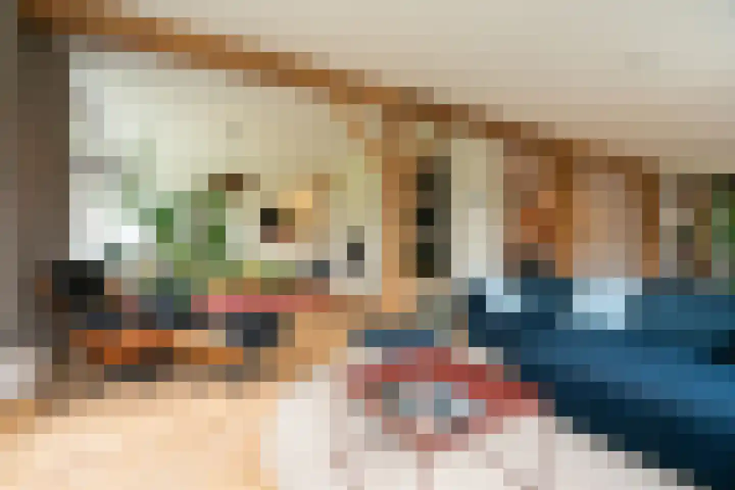 Bekkendammerweg 1 Diepenheim thumbnail 19