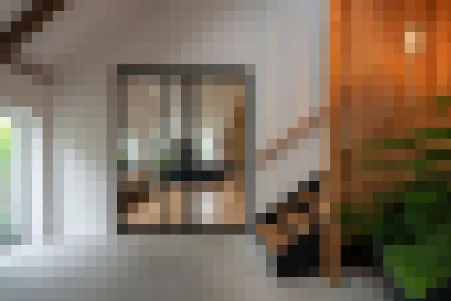 Bekkendammerweg 1 Diepenheim thumbnail 22