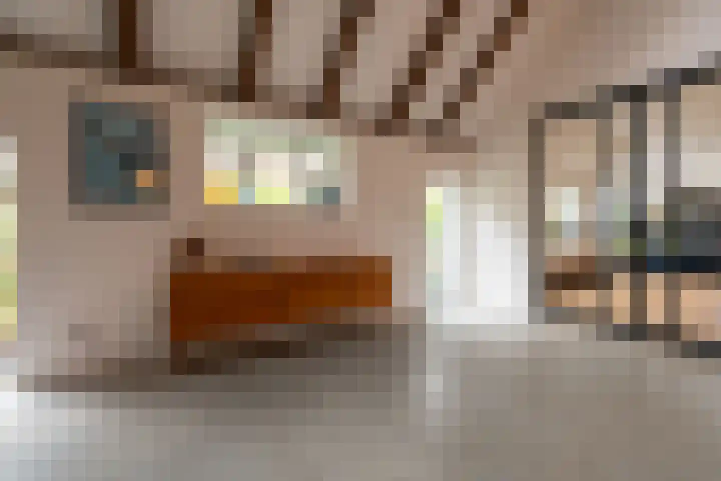 Bekkendammerweg 1 Diepenheim thumbnail 23