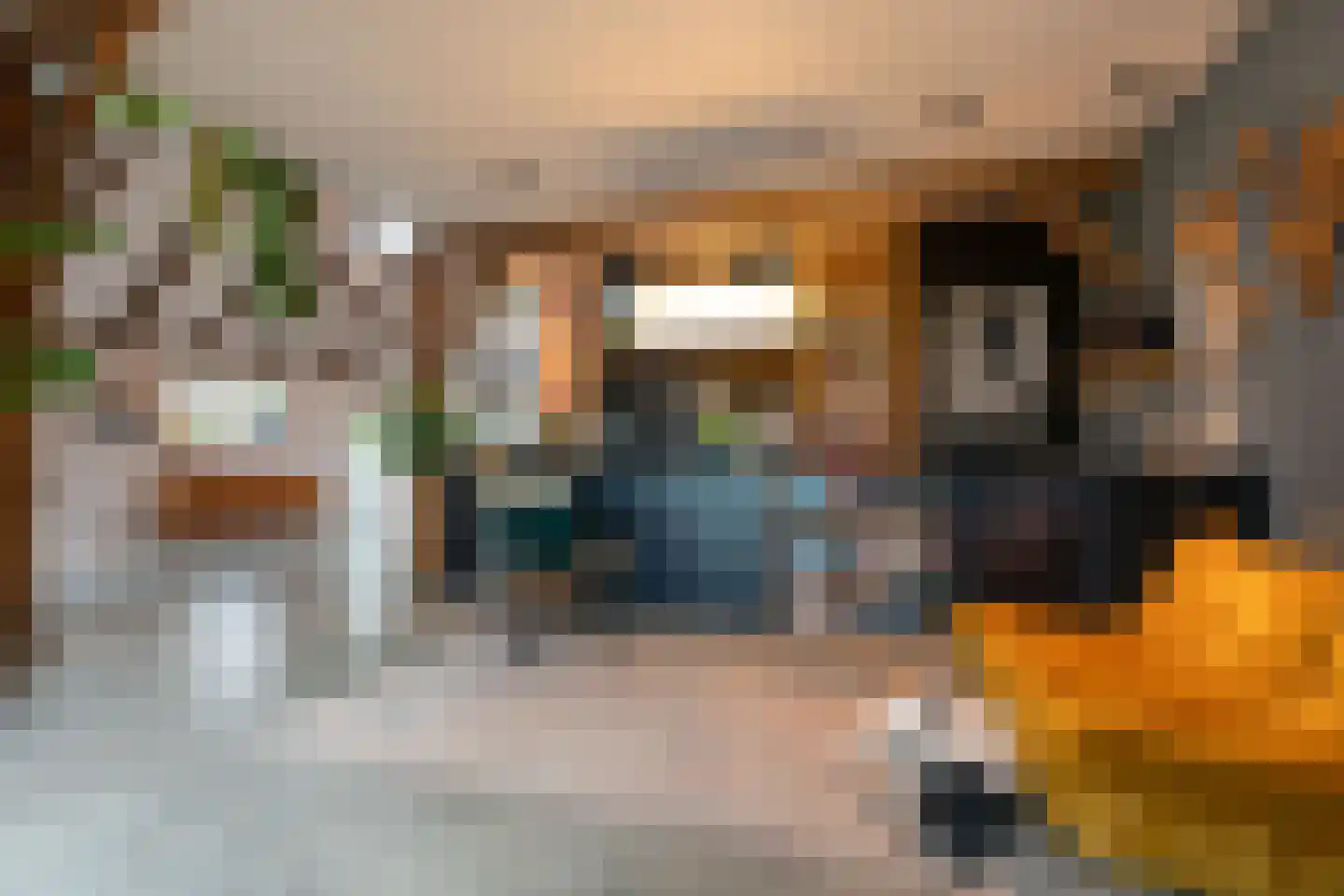 Bekkendammerweg 1 Diepenheim thumbnail 24