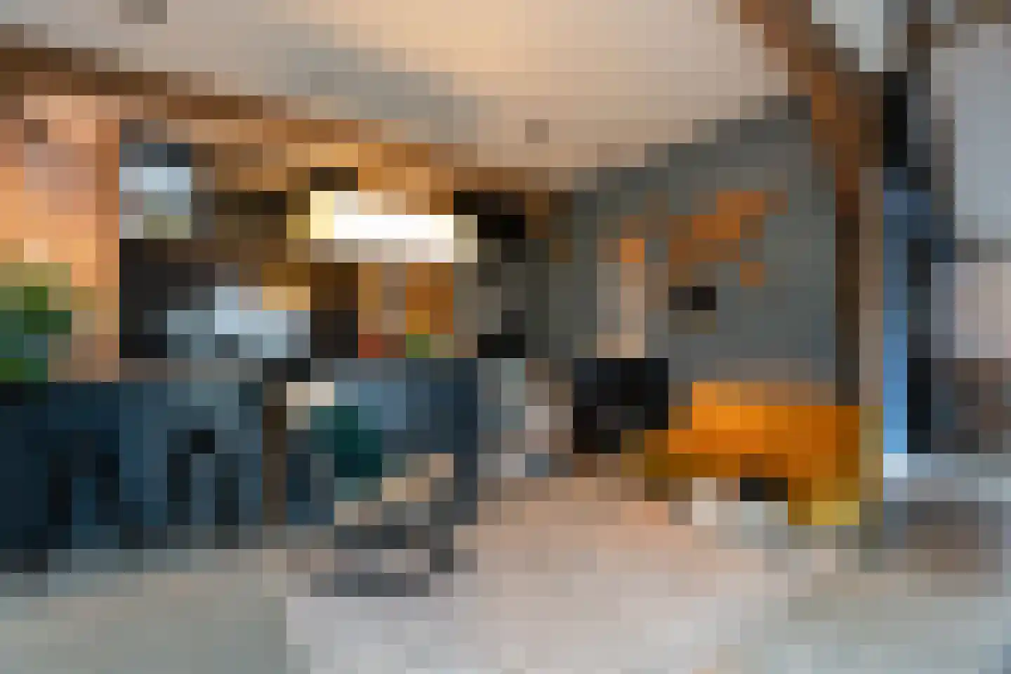 Bekkendammerweg 1 Diepenheim thumbnail 25