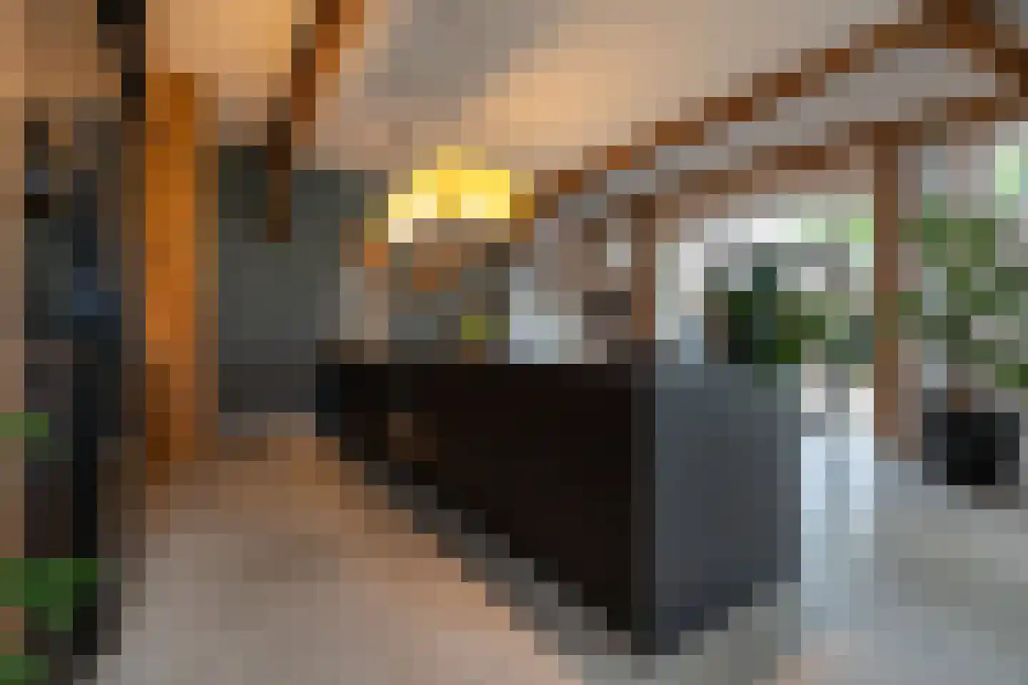 Bekkendammerweg 1 Diepenheim thumbnail 27
