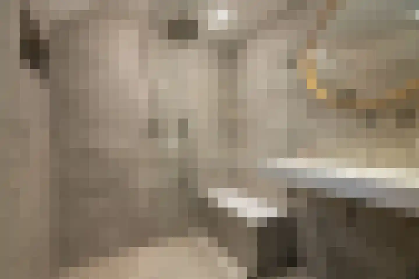 Bekkendammerweg 1 Diepenheim thumbnail 34