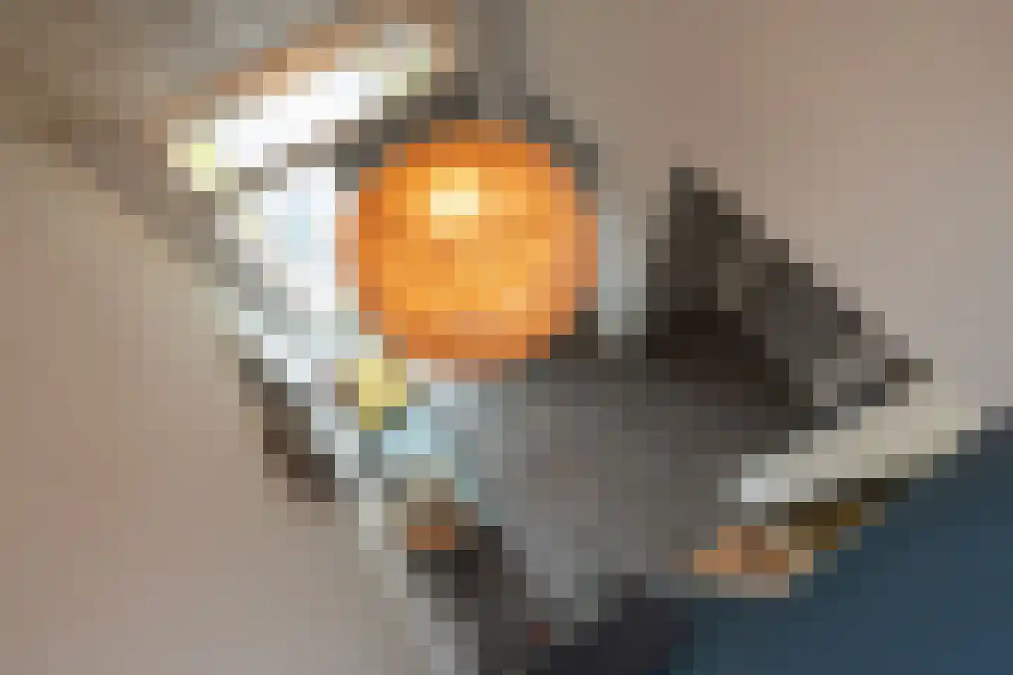 Bekkendammerweg 1 Diepenheim thumbnail 35