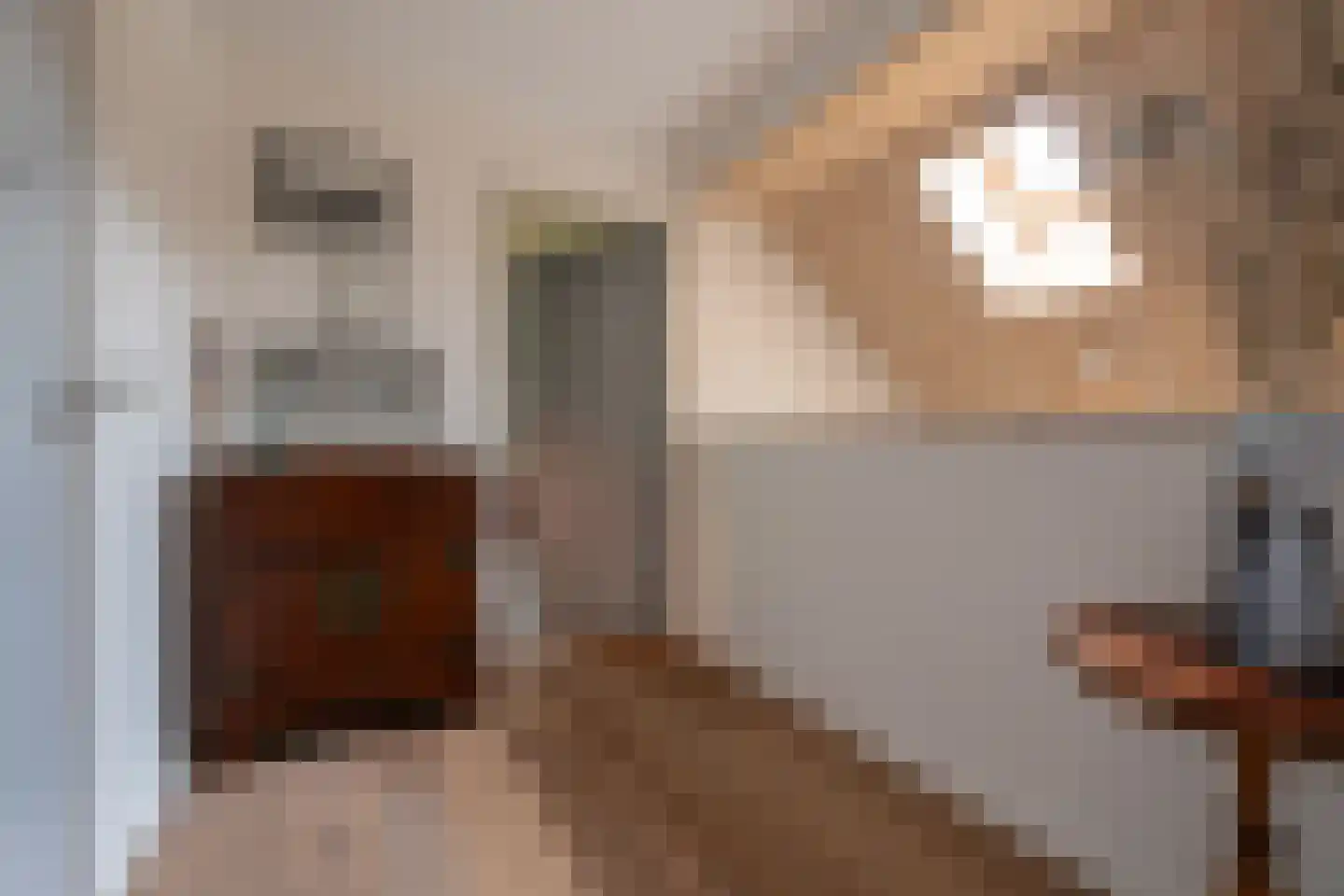 Bekkendammerweg 1 Diepenheim thumbnail 36