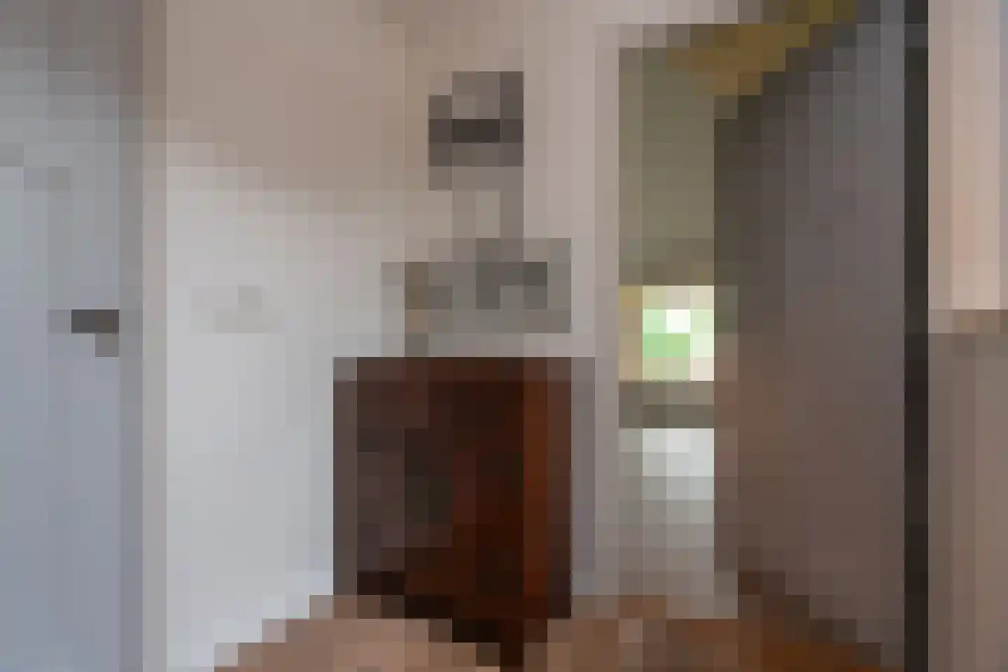 Bekkendammerweg 1 Diepenheim thumbnail 37