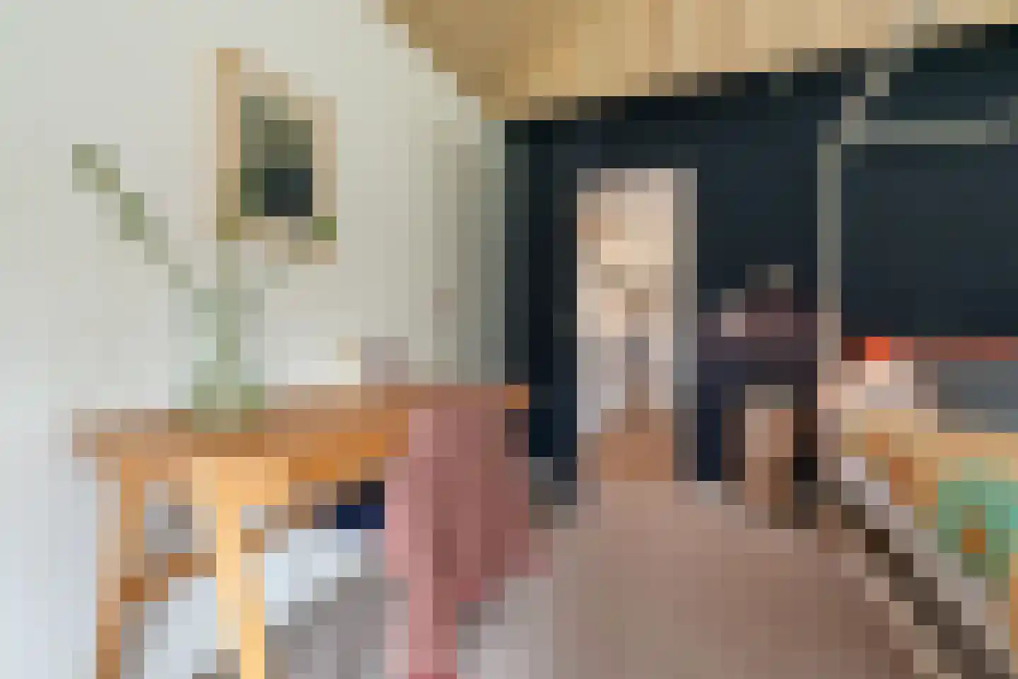 Bekkendammerweg 1 Diepenheim thumbnail 38