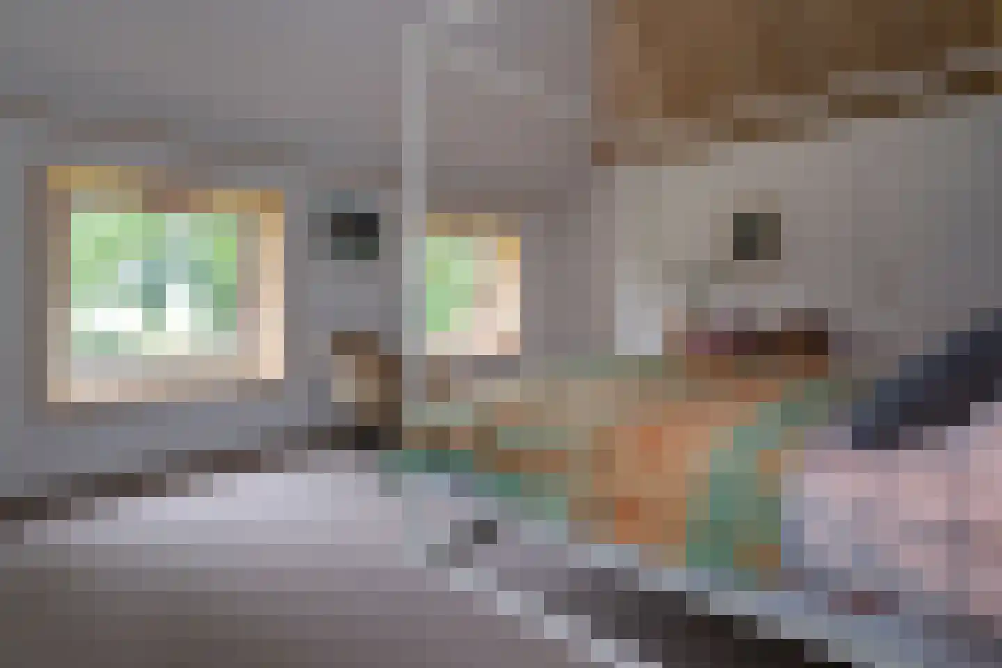 Bekkendammerweg 1 Diepenheim thumbnail 39