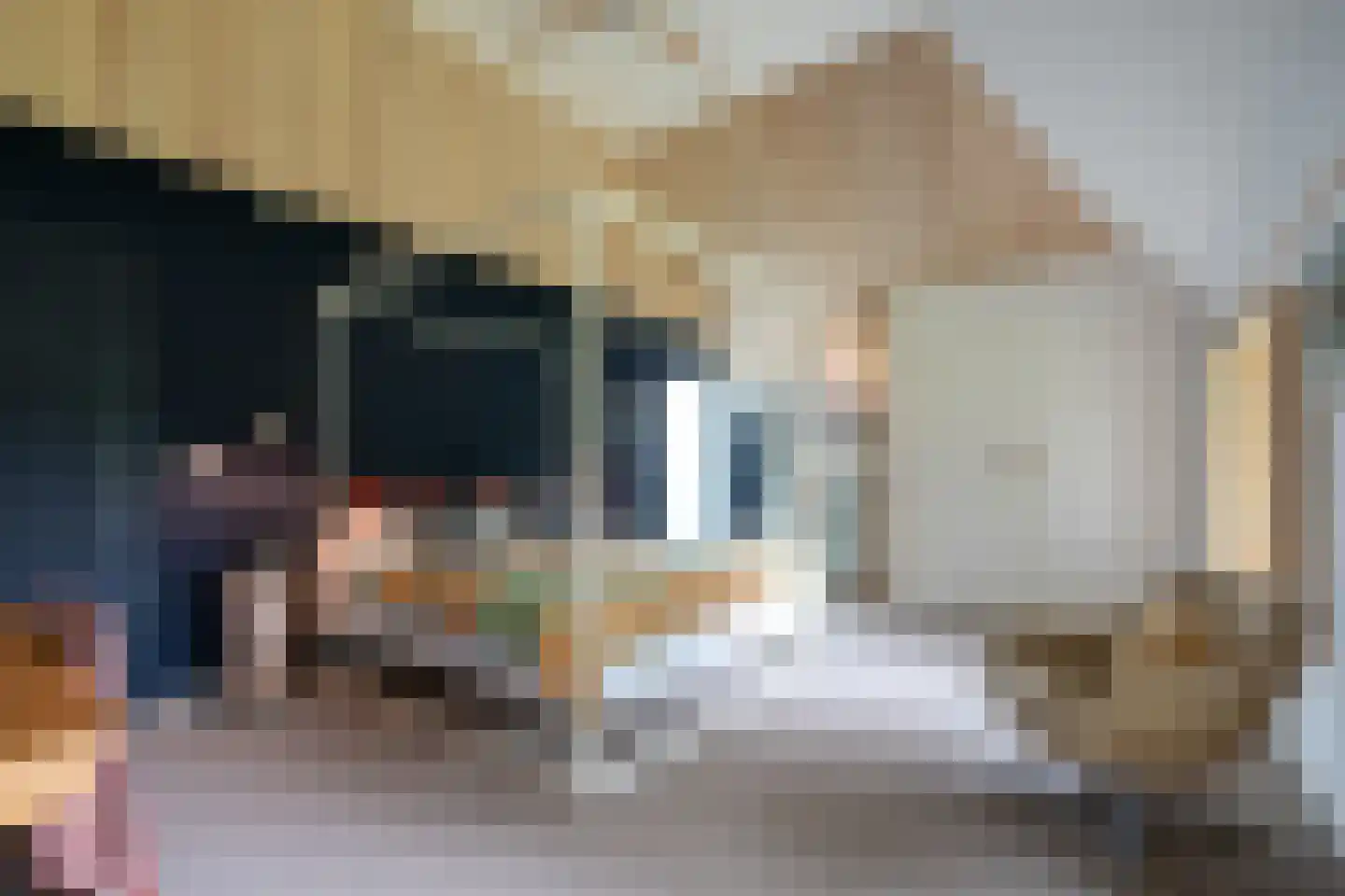 Bekkendammerweg 1 Diepenheim thumbnail 40