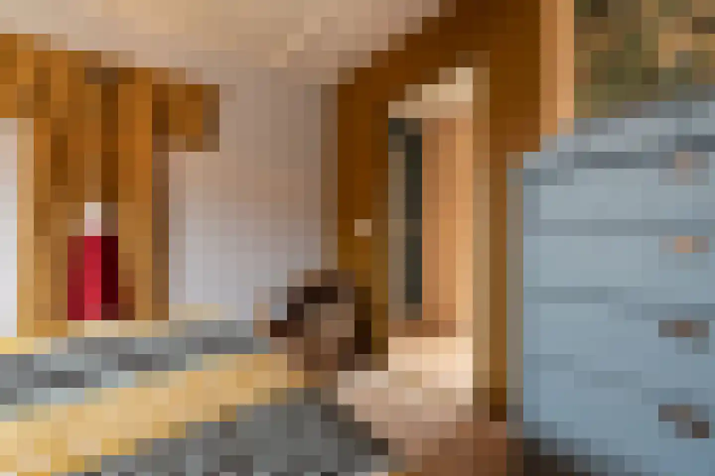 Bekkendammerweg 1 Diepenheim thumbnail 47