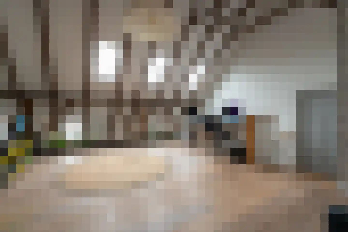 Bekkendammerweg 1 Diepenheim thumbnail 49