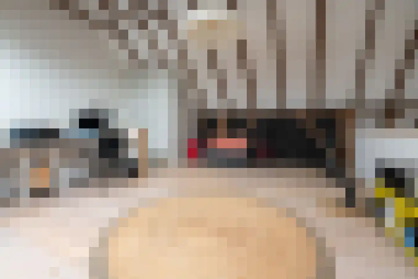Bekkendammerweg 1 Diepenheim thumbnail 50