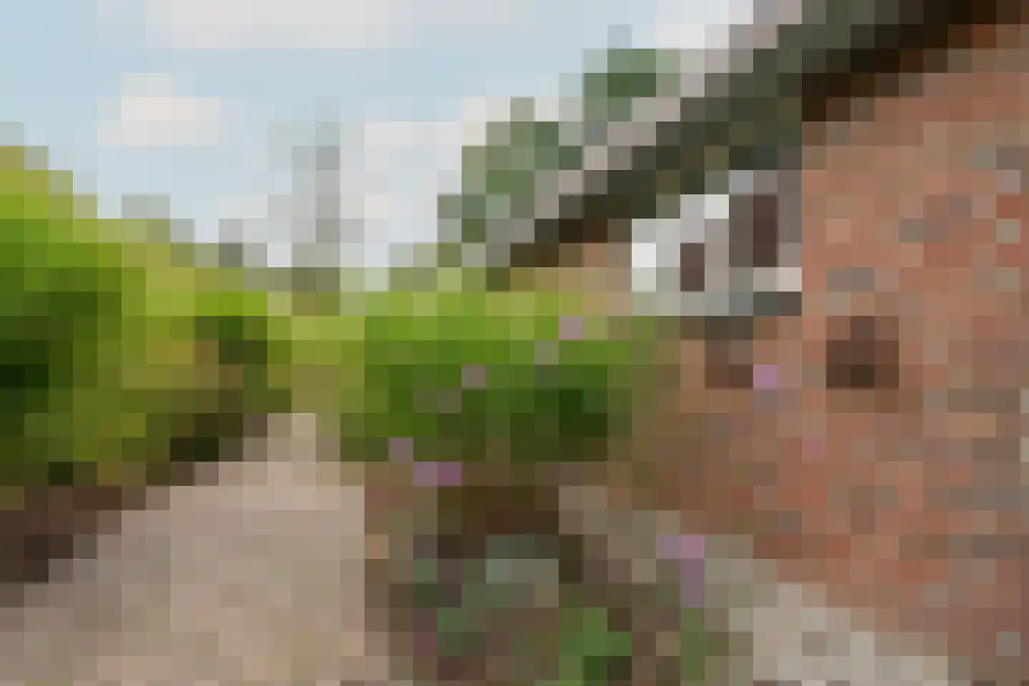 Bekkendammerweg 1 Diepenheim thumbnail 52