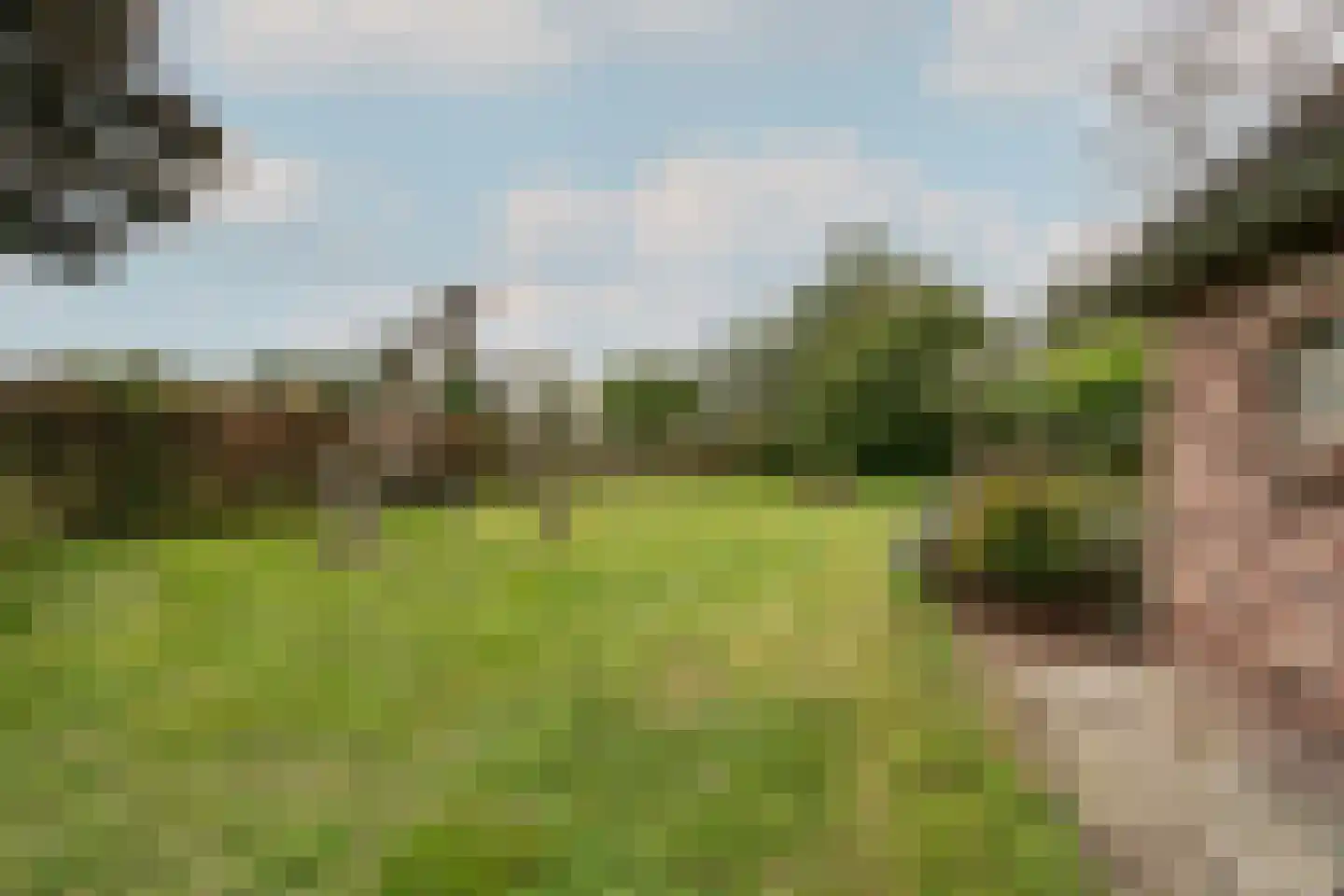 Bekkendammerweg 1 Diepenheim thumbnail 53