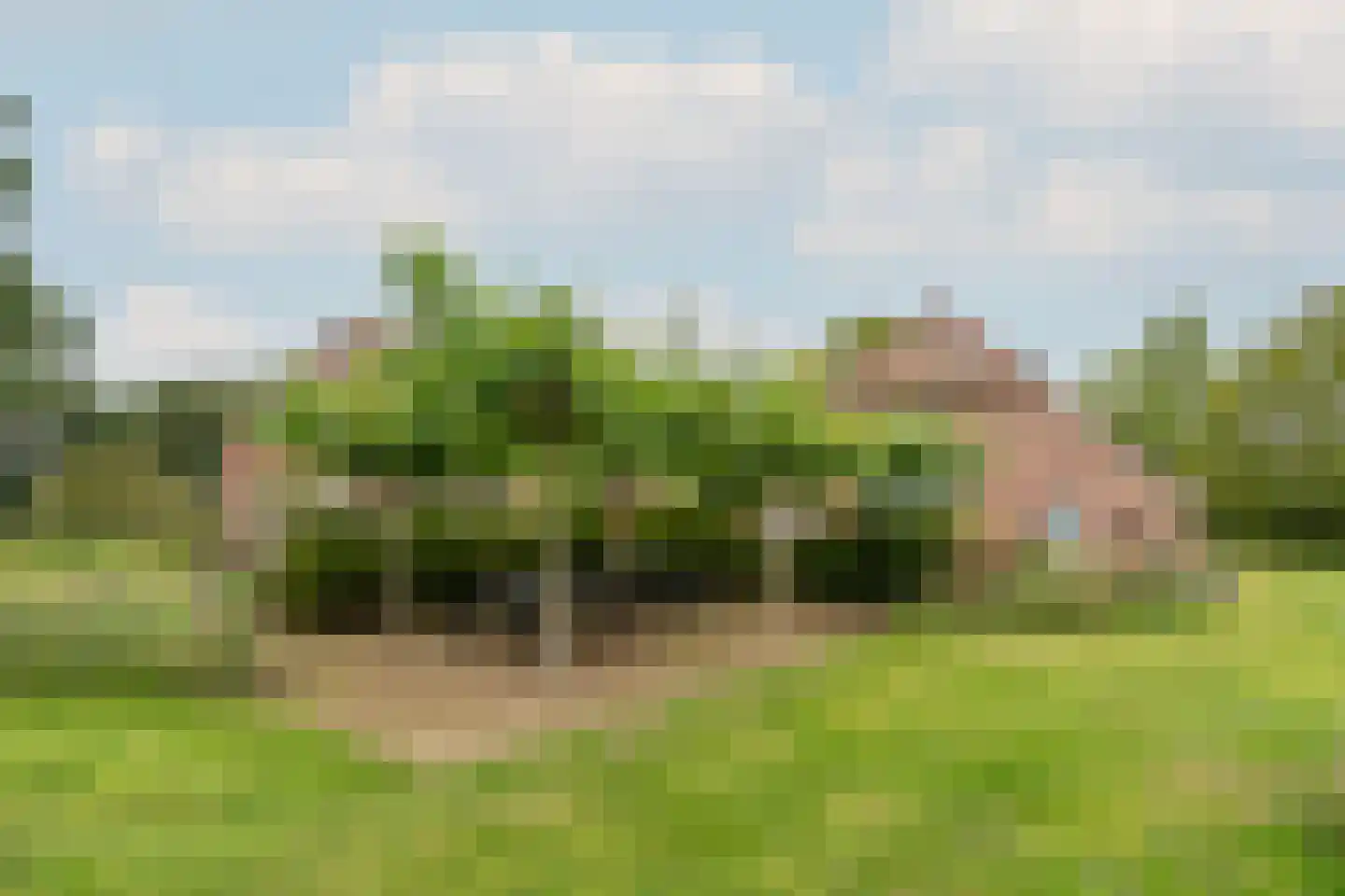 Bekkendammerweg 1 Diepenheim thumbnail 54