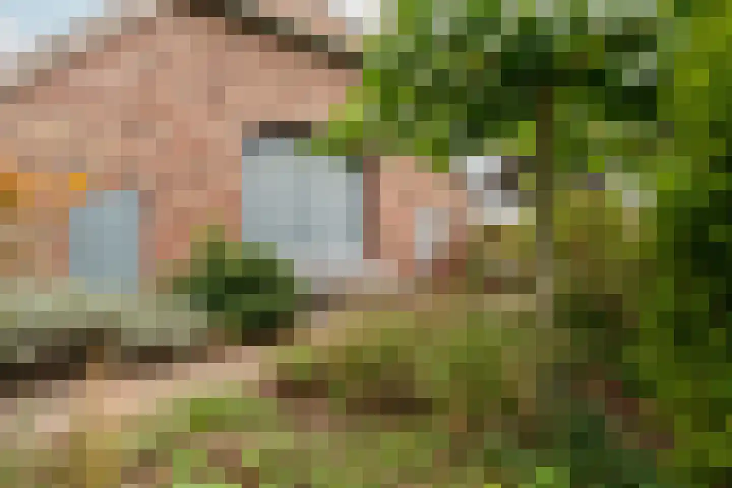 Bekkendammerweg 1 Diepenheim thumbnail 56