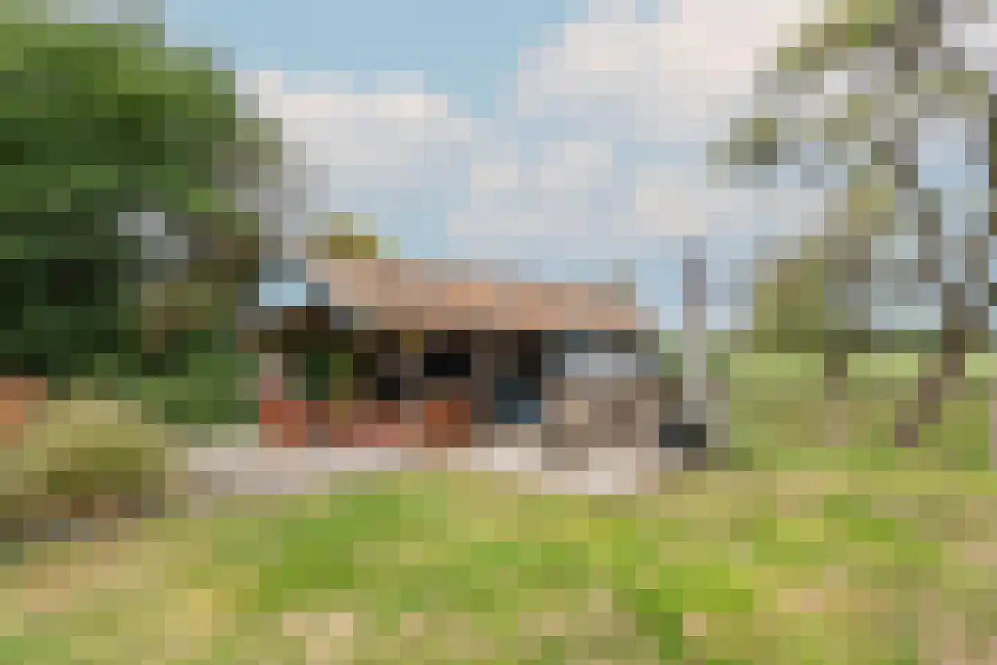 Bekkendammerweg 1 Diepenheim thumbnail 57