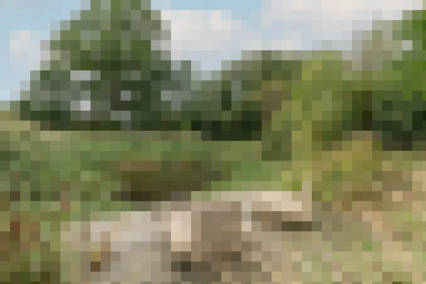 Bekkendammerweg 1 Diepenheim thumbnail 58