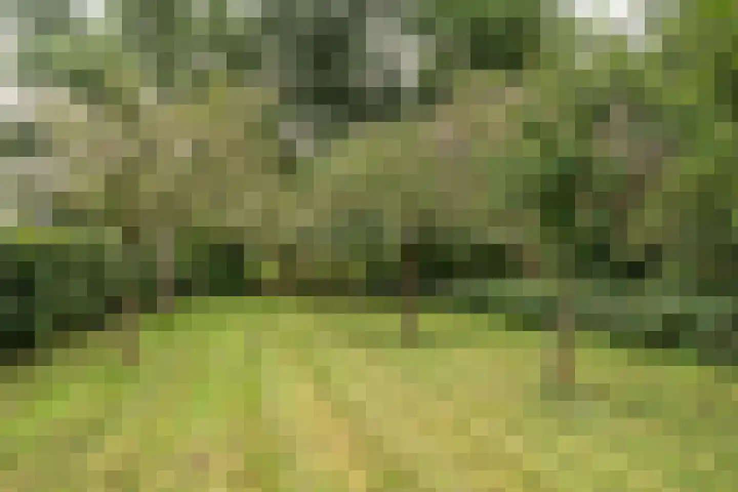 Bekkendammerweg 1 Diepenheim thumbnail 59