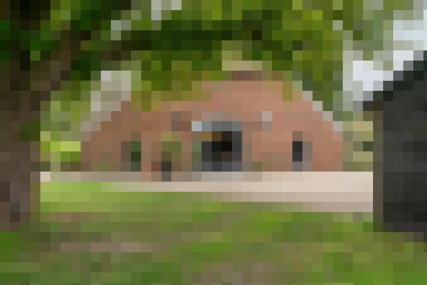 Bekkendammerweg 1 Diepenheim thumbnail 6