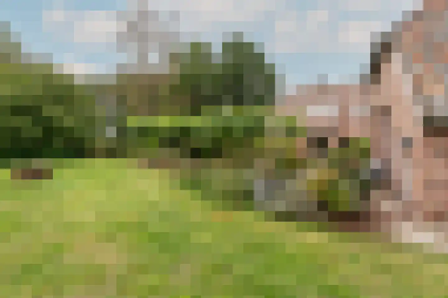 Bekkendammerweg 1 Diepenheim thumbnail 61