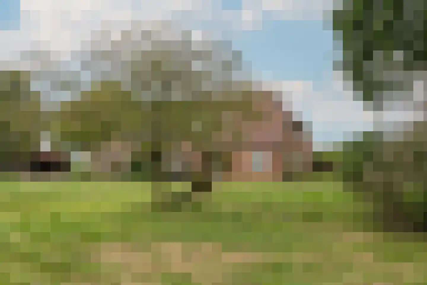 Bekkendammerweg 1 Diepenheim thumbnail 62