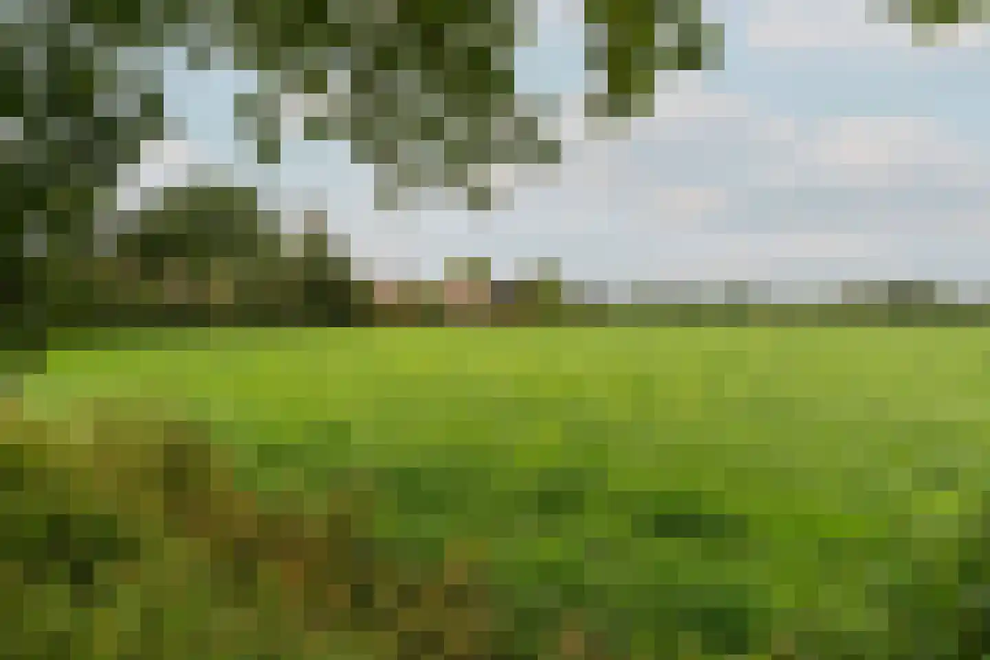 Bekkendammerweg 1 Diepenheim thumbnail 64