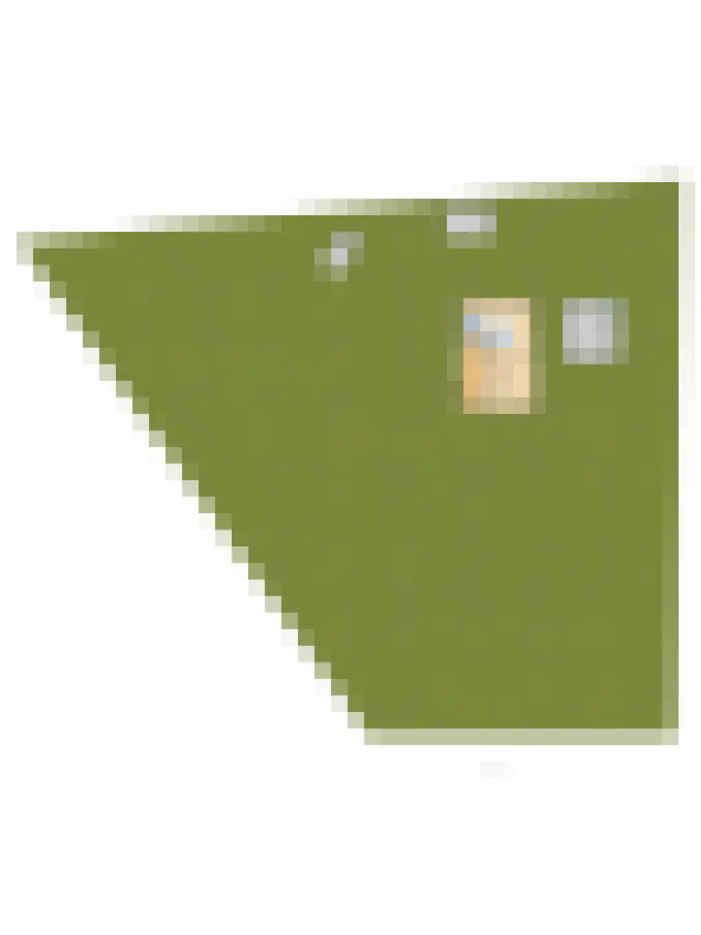 Bekkendammerweg 1 Diepenheim thumbnail 65