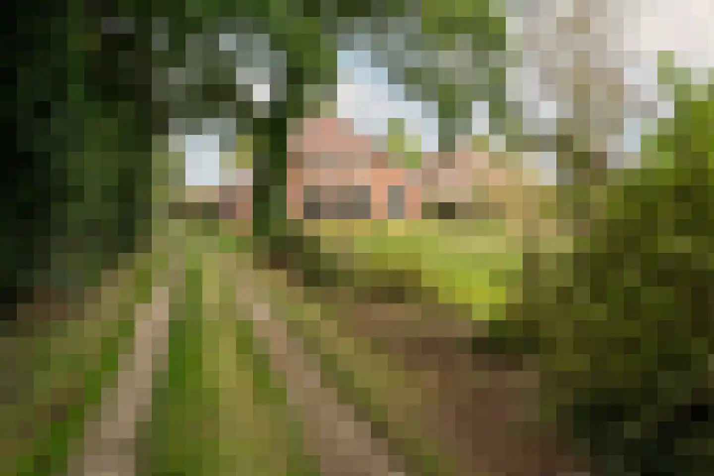 Bekkendammerweg 1 Diepenheim thumbnail 7