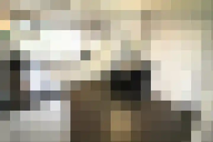 Bekkenhaarsweg 5 Hoge Hexel thumbnail 14