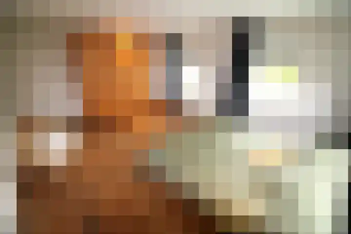Bekkenhaarsweg 5 Hoge Hexel thumbnail 19