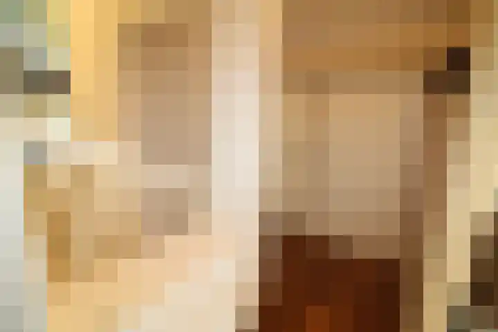 Bekkenhaarsweg 5 Hoge Hexel thumbnail 26