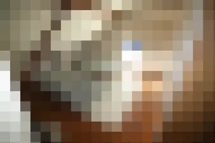 Bekkenhaarsweg 5 Hoge Hexel thumbnail 29