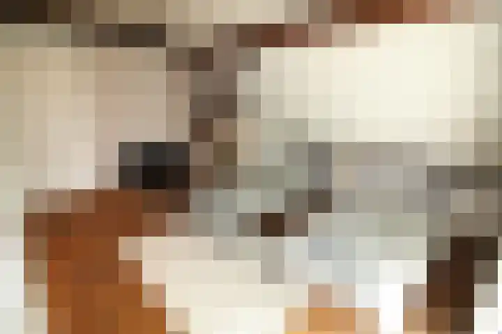 Bekkenhaarsweg 5 Hoge Hexel thumbnail 30