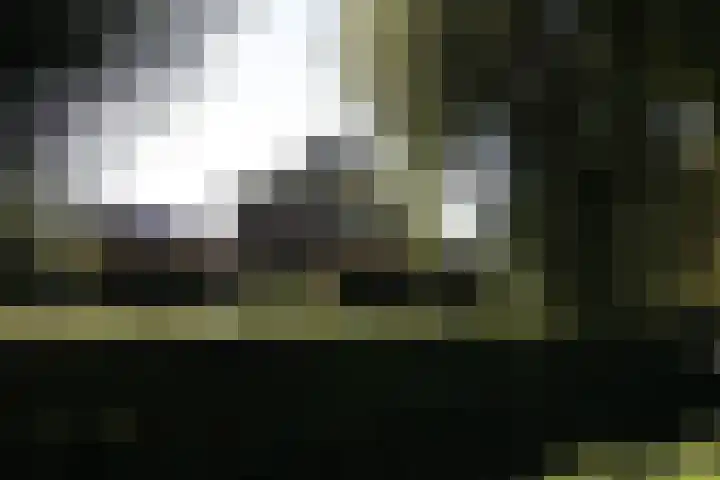 Bekkenhaarsweg 5 Hoge Hexel thumbnail 36