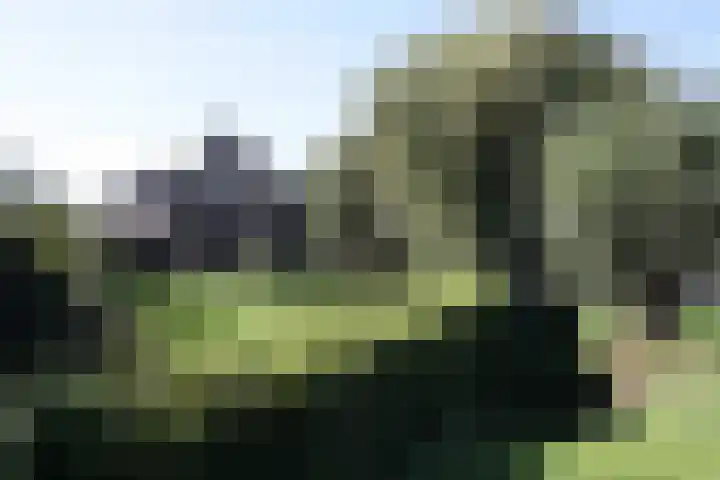 Bekkenhaarsweg 5 Hoge Hexel thumbnail 37