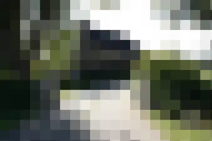 Bekkenhaarsweg 5 Hoge Hexel thumbnail 38