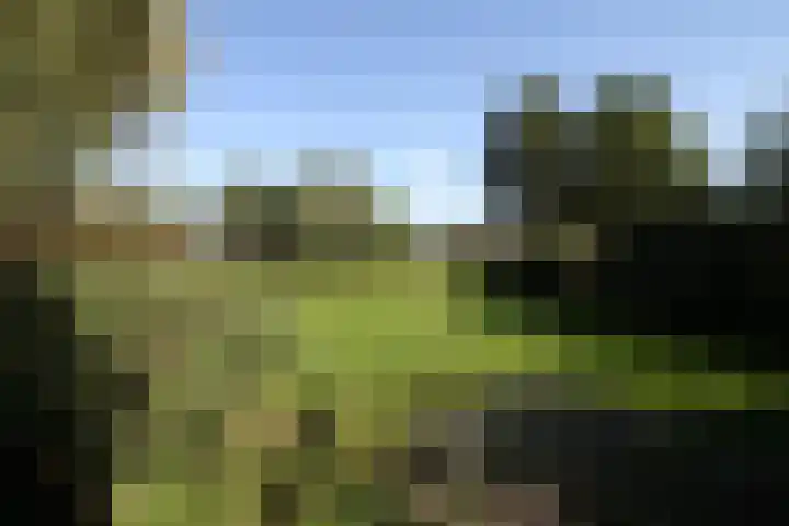Bekkenhaarsweg 5 Hoge Hexel thumbnail 39