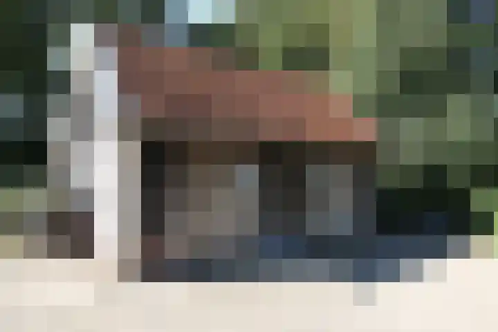 Bekkenhaarsweg 5 Hoge Hexel thumbnail 4