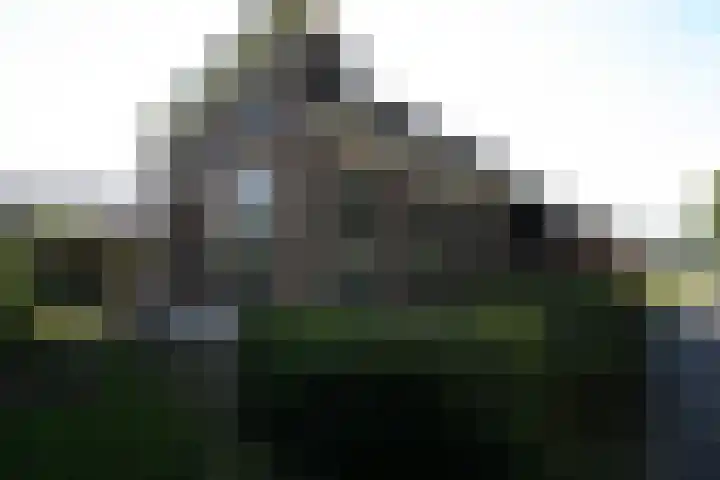 Bekkenhaarsweg 5 Hoge Hexel thumbnail 43