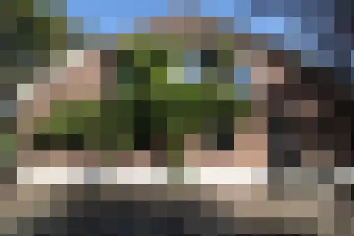 Bekkenhaarsweg 5 Hoge Hexel thumbnail 47