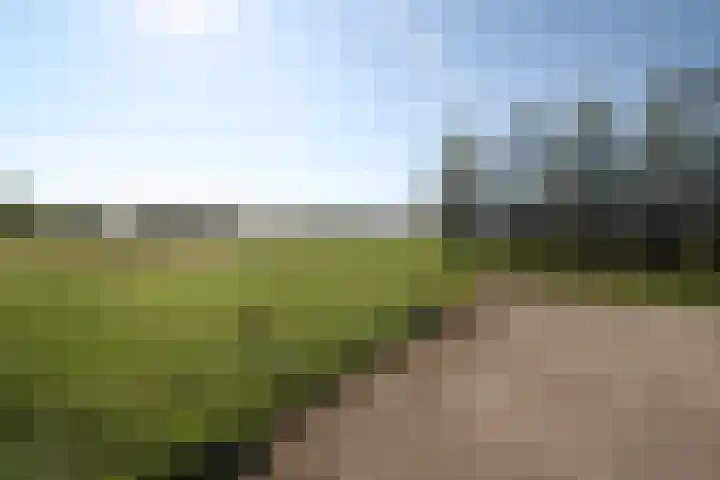 Bekkenhaarsweg 5 Hoge Hexel thumbnail 5