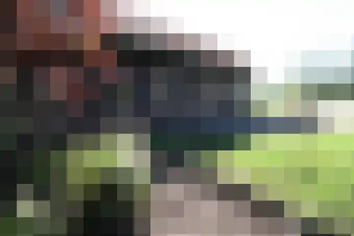 Bekkenhaarsweg 5 Hoge Hexel thumbnail 51