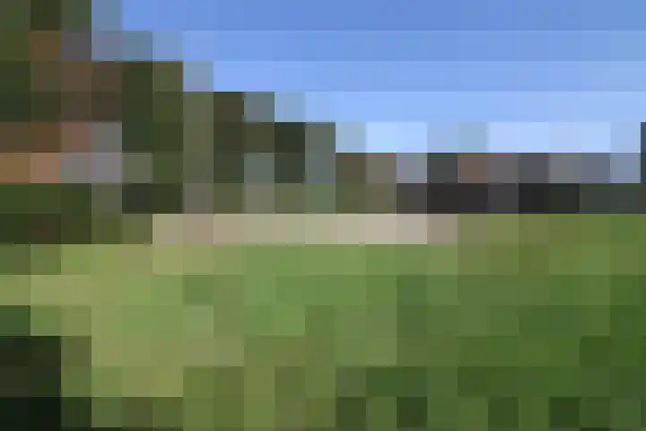 Bekkenhaarsweg 5 Hoge Hexel thumbnail 57